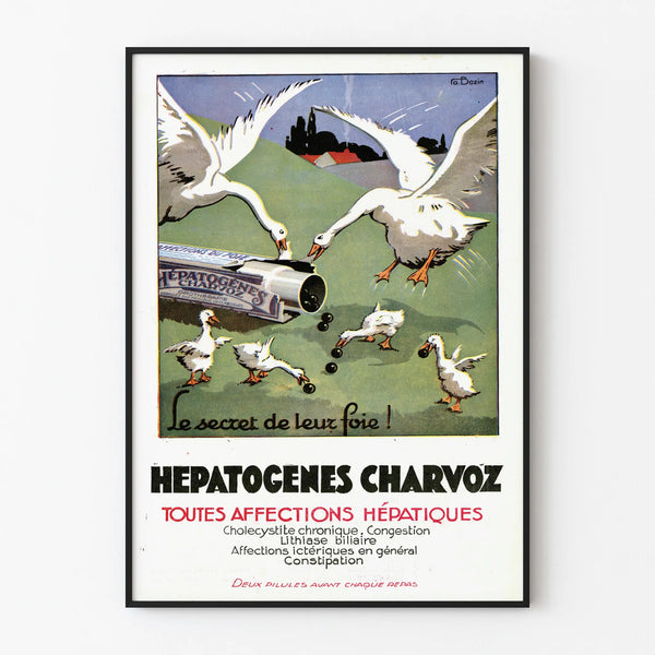 hepatogenes-charvoz-2
