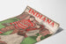 Vintage Indiana Normal 1902 - Retro seinäkoriste juliste