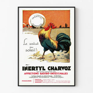 inertyl-charvoz-2