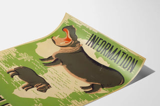 information-brookfield-zoo