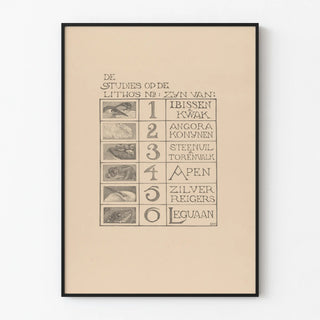 inhoudsopgave-van-de-portefeuille-dierstudies
