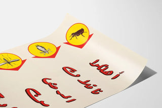 insects-3