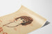 Charley Girin vintage-tyylinen naiskuvajuliste