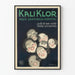 Vintage Juliste Kali Klor Hammastahna Täydellinen