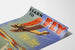 Vintage lentokoulutusjuliste Curtiss-Wright