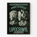 Vintage Juliste Hormoniterapia Ambo-Seksuaalinen Lipocrinyl Derol