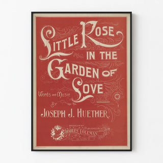 little-rose-in-the-garden-of-love