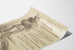 Juliste Erikoisnäytös Belgian Komitea 1915