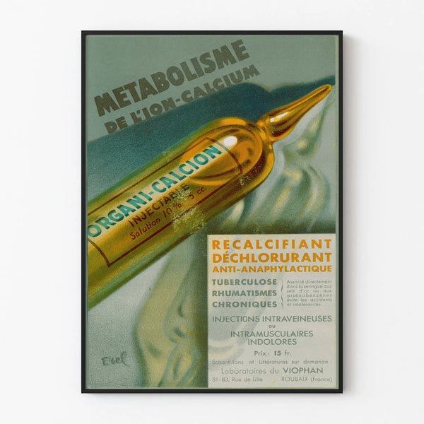 metabolisme-de-lion-calcium