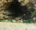 Le vagabond - Émile Friant — näkymä teoksesta