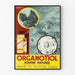 Vintage Juliste Organotiol Rikkidioksidi Luonnollinen Seinän koristelu Tieteellinen