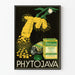 Vintage mainosjuliste Phytojava luonnonmukainen lääketiede