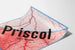 Vintage Juliste Priscol - Retro lääketieteellinen seinäkoristelu