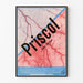 Vintage Juliste Priscol - Retro lääketieteellinen seinäkoristelu