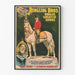 Vintage Juliste Ringling Bros - Le Cheval Silver King ratsastettu John O'Brienin toimesta