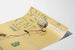 Salon des Cent 1896 juliste seinäkoristeeksi vintage