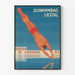 Vintage juliste Liestal uima-allas sukeltaja toiminnassa