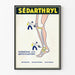 Vintage Sédarthryl -juliste nivelkipujen lievitykseen