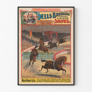 sells-brothers-enormous-united-shows-miss-polly-lee-driving-five-california-jumping-horses