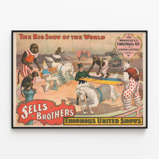 sells-brothers-enormous-united-shows-the-wonderful-cynocephalus-ape-in-remarkable-equestrian-acts
