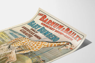 the-barnum-bailey-greatest-show-on-earth-baby-bumbeno-only-american-born-giraffe-cutest-thing-alive