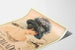Vintagejuliste The Exquisite Thief Priscilla Dean