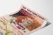 Vintage juliste The New York Sunday Herald 1896 seinäkoristelu
