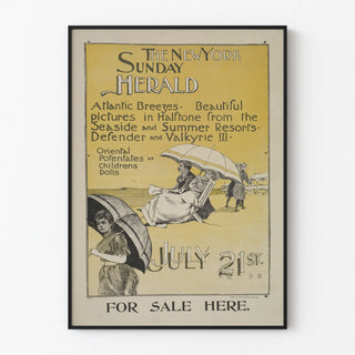 the-new-york-sunday-herald-july-21st-1895