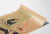 Vintage Juliste 'Books To Burn' - Humoristinen musta huumori