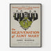 Vintagejuliste The Rejuvenation of Aunt Mary seinäkoriste retro