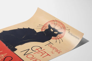 tournee-du-chat-noir