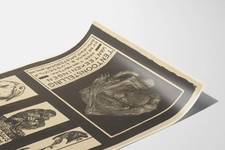 Vintage-näyttelyjuliste apinoista ja linnuista mustavalkoisena