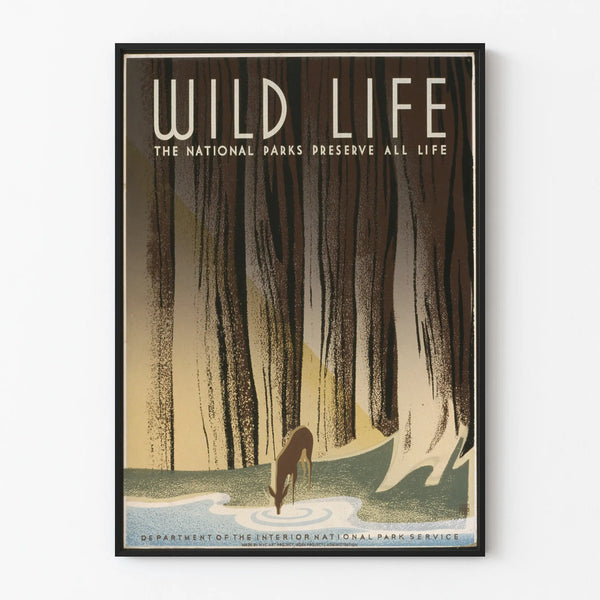 wild-life-the-national-parks-preserve-all-life-2