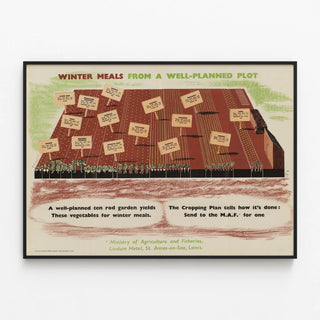 winter-meals-from-a-well-planned-plot