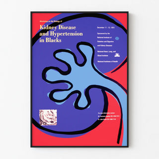 workshop-on-the-biology-of-kidney-disease-and-hypertension-in-blacks